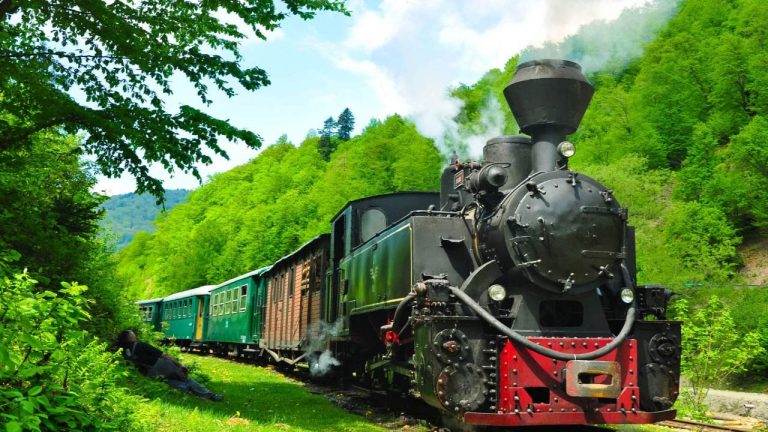 Mocanita maramures - Viseu de Sus