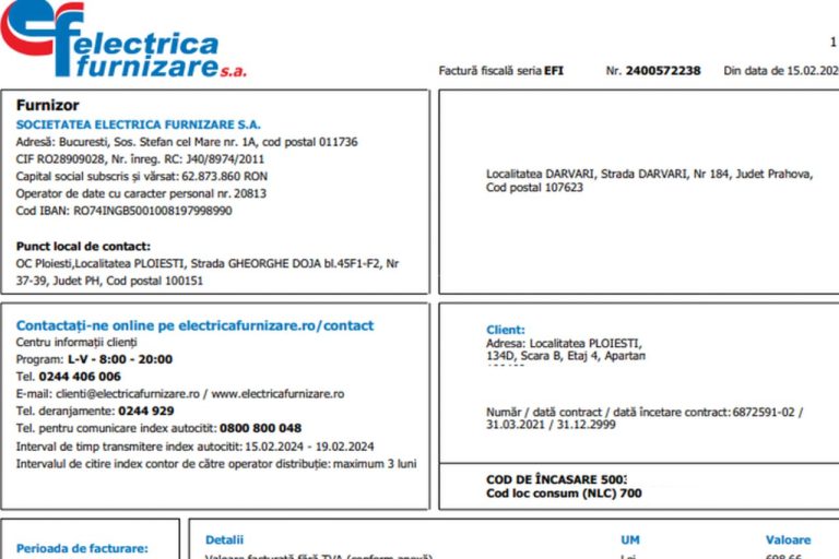 Vizualizare factura Electrica Furnizare
